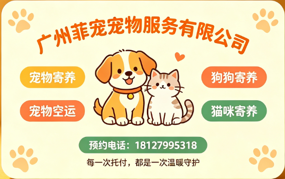 广州菲宠广州线上分站